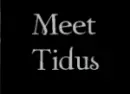 Tidus- Retarded Seagull Laugh