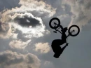 BMX boy