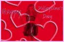 Valentine's Day 