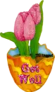 Tulip vase with Get Well