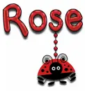 ladybug rose