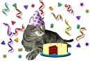 Birthday Cat