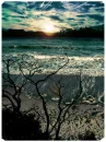 beutiful ocean