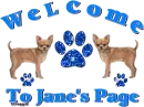 Chihuahua Welcome to Jane's Page