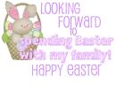 Cute bunny