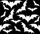 bats