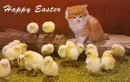 Happy Easter, Kitten