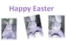  Happy Easter
