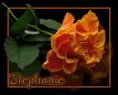 Stephanie