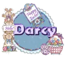 Darcy ... bunny stuff