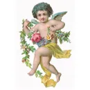 cherub