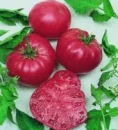 tomato biff