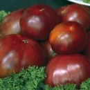 black tomato