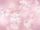 spring flower