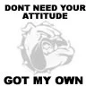 Attitude