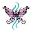 butterfly