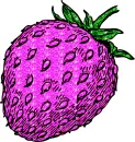 fragola