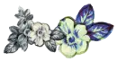 Vintage flowers
