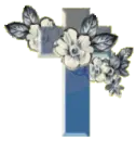 Little blue cross