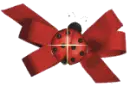 Ladybug red bow
