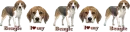 Beagle Divider