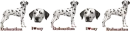 Dalmatian