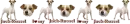 Jack-Russel Divider