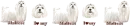 Maltese Divider