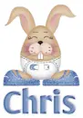 bunny chris