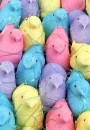 Peep and grass
