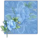 Blue Roses