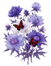Blue flowers with butterfly