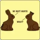 Choco Bunny