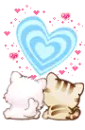 two cute cats