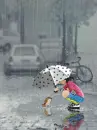 RAINY DAY
