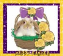 Bunny in basket