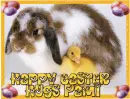 Happy Easter Pami