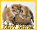 Happy Easter kitty & bunny