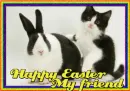 Happy Easter my friend kitty & bunny