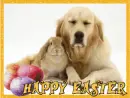Happy Easter  dog & bunny