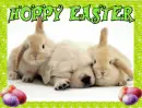 Hoppy Easter bunnies& pup