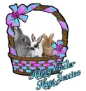 Jessica easter basket