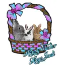 Judi Basket