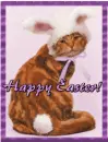 Easter kitty 