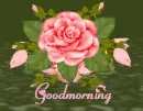 goodmorning