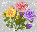 roses