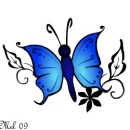 Blue butterfly