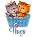 Cat Hugs