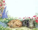 Cats Background