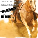 Quarter Horses- All Envy